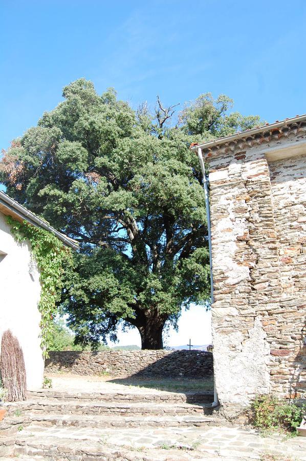 La Vallee De Gaia Bed & Breakfast Saint-Hilaire-de-Lavit Екстериор снимка
